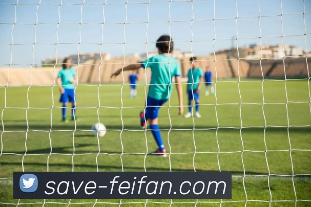 非凡娱乐平台生态图